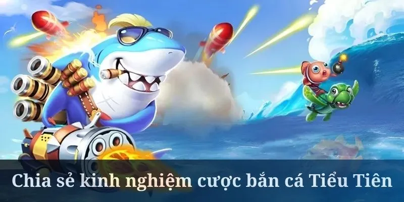 Bắn cá Tiểu Tiên cần quản lý vốn tốt