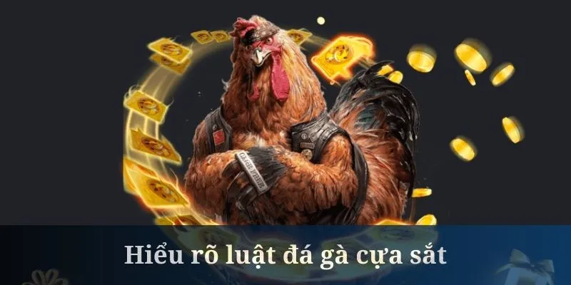Đá gà cựa sắt và tiêu chuẩn chọn chiến kê