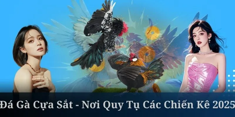 Đá Gà Cựa Sắt - Nơi Quy Tụ Các Chiến Kê Xuất Sắc Nhất 2025