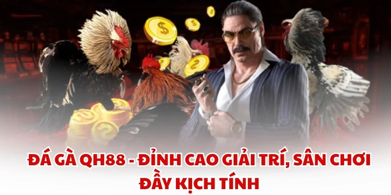 Đá gà QH88 - Đỉnh cao giải trí, sân chơi đầy kịch tính