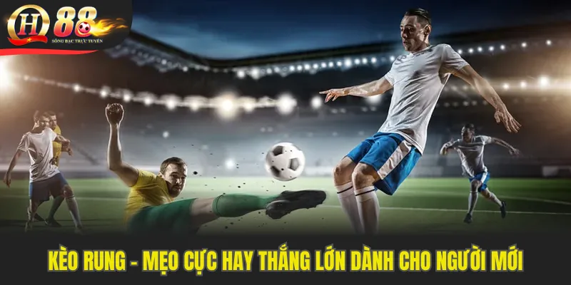 Kèo Rung - Mẹo Cực Hay Thắng Lớn Dành Cho Người Mới