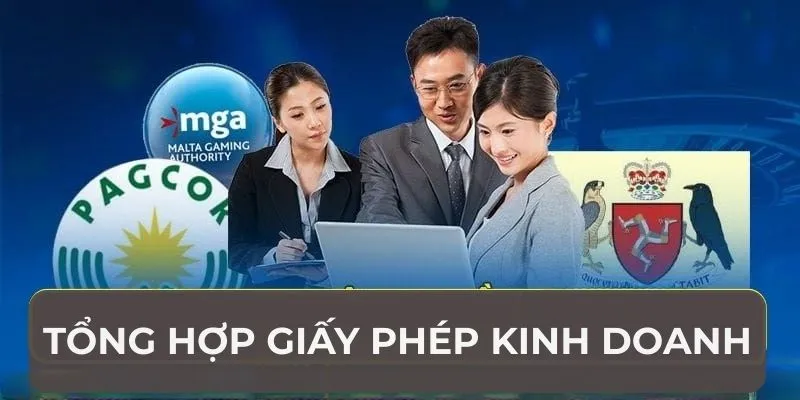 Tổng hợp giấy phép kinh doanh